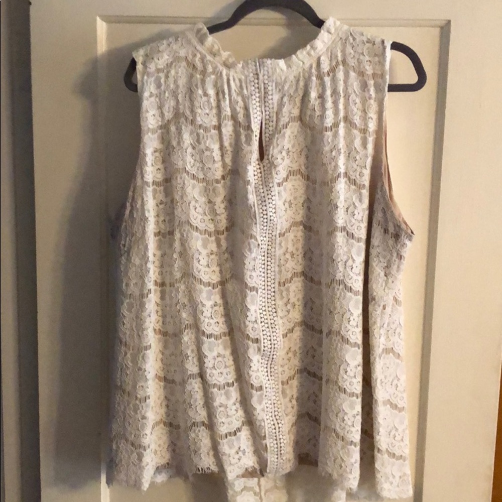 Rose and Olive lace top - 2X